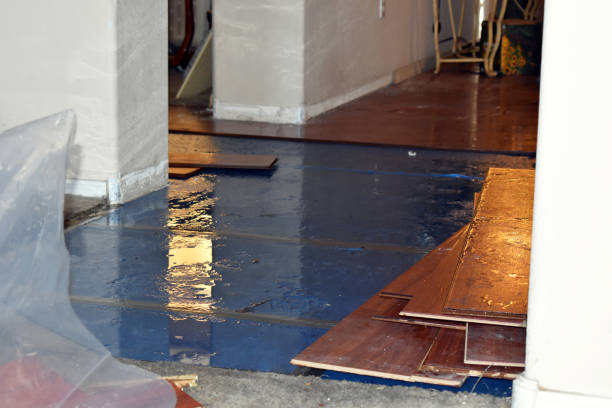 Professional Water Damage Restoration technician working in Windsor, CA